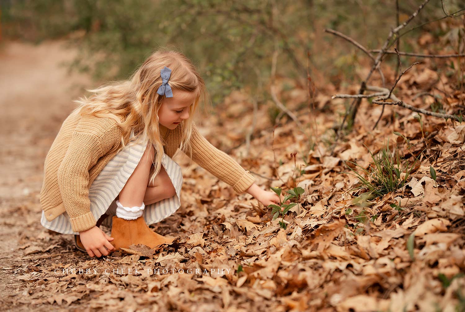 fall mini sessions houston