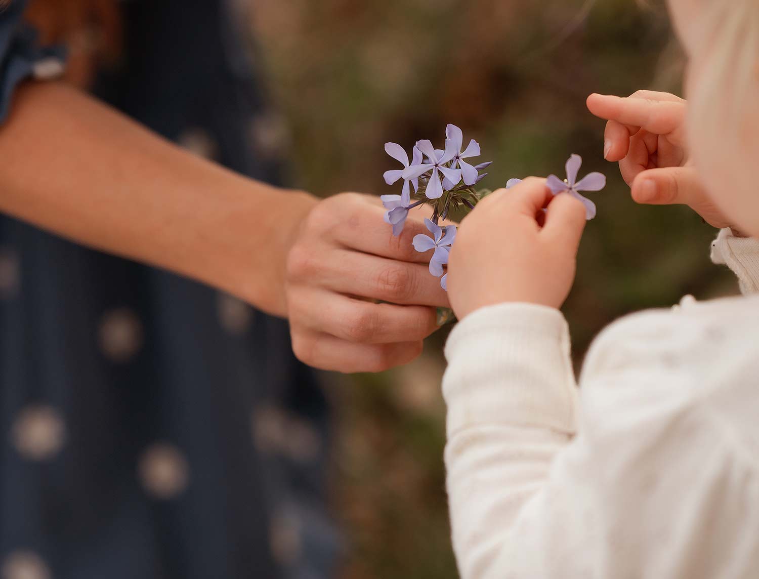 family mini sessions texas photographer